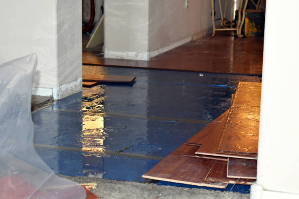 Professional Sewage Cleanup technician working in Shelton, CT